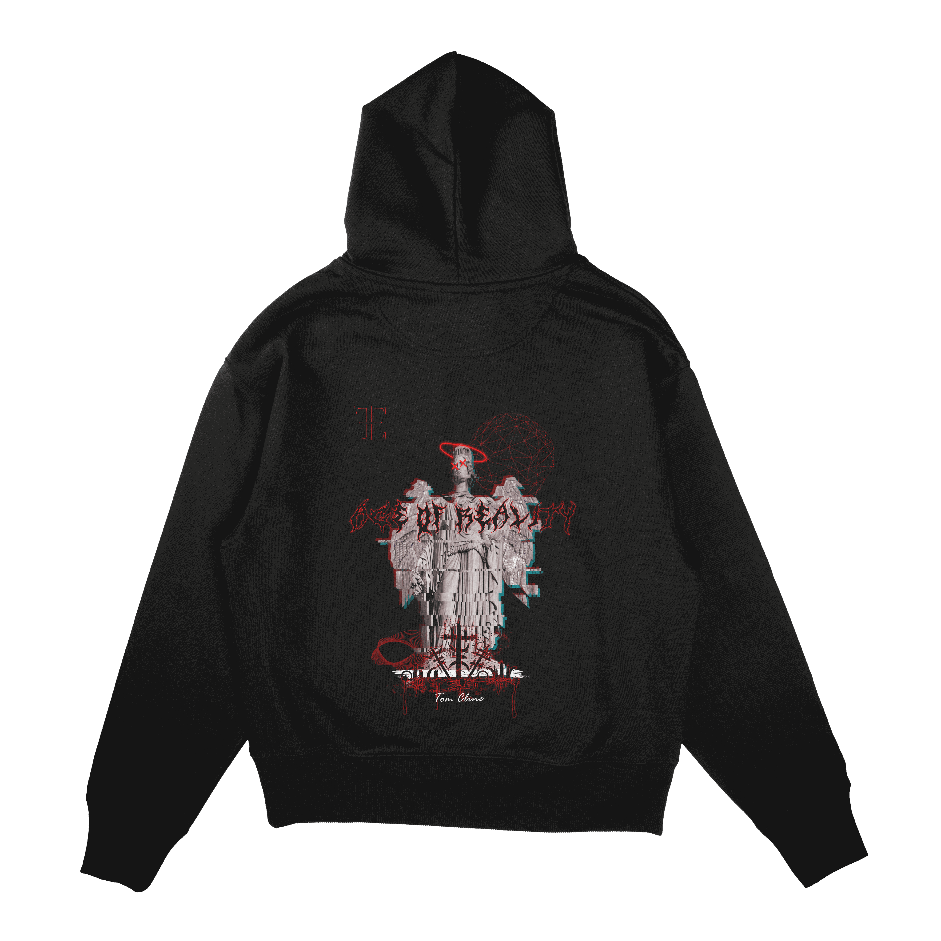 Age Of Reality - Hoodie