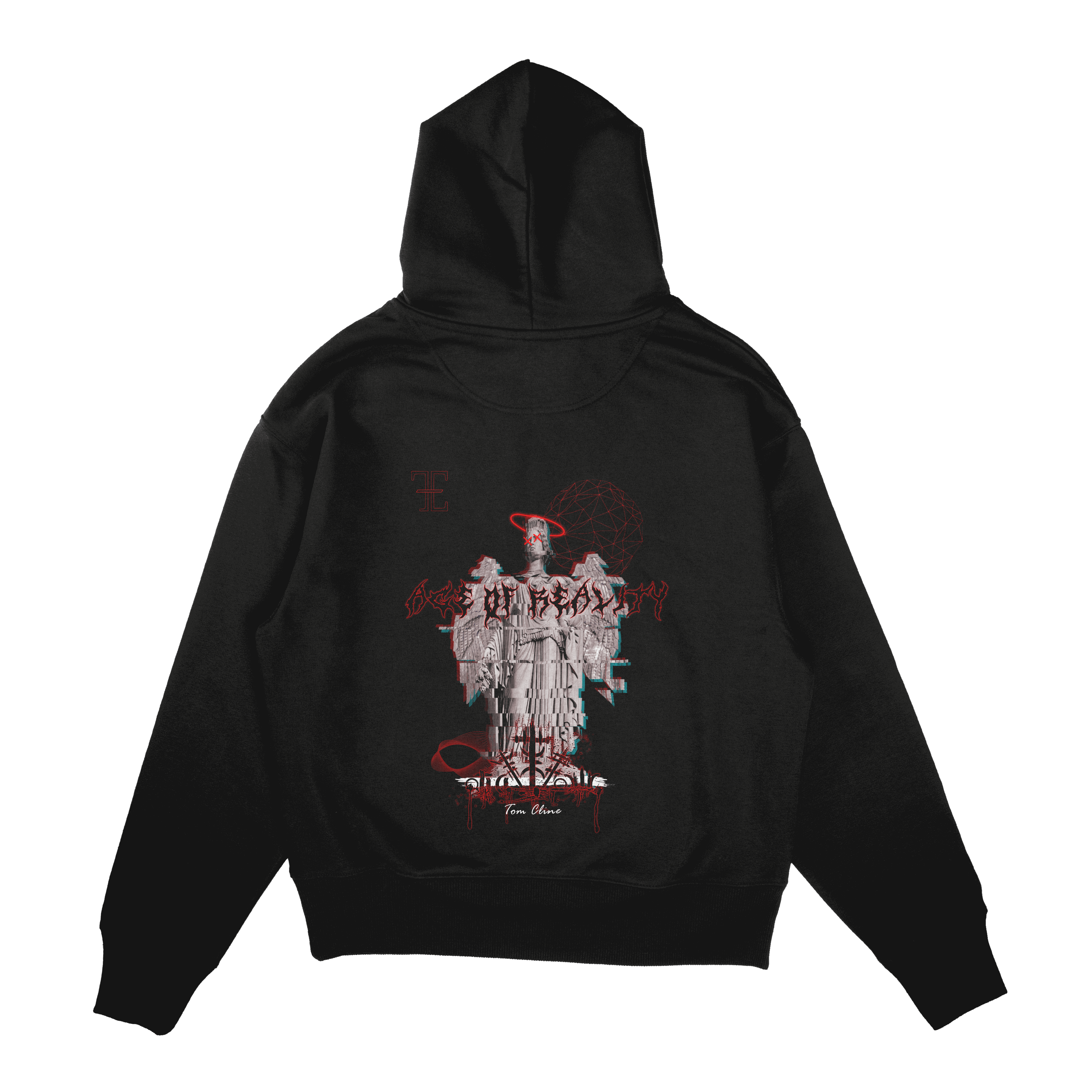 Age Of Reality - Hoodie