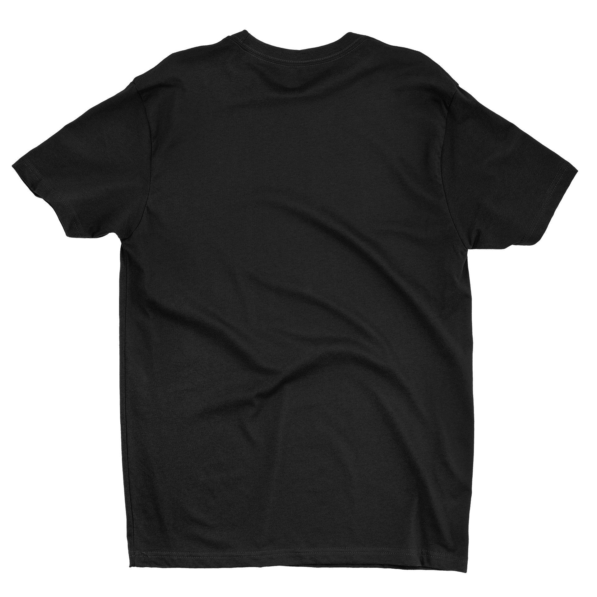 Fck Everything But Techno - T-Shirt